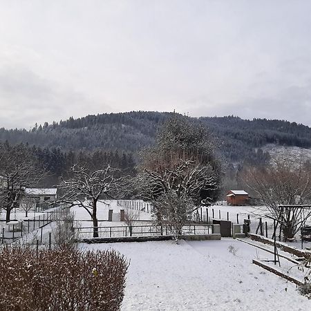 Chez Vovone 3 Etoiles Clevacances Saulxures-sur-Moselotte エクステリア 写真