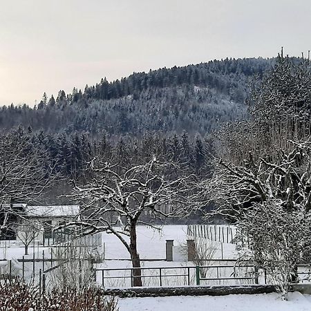 Chez Vovone 3 Etoiles Clevacances Saulxures-sur-Moselotte エクステリア 写真
