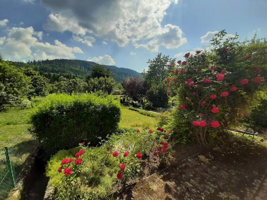 Chez Vovone 3 Etoiles Clevacances Saulxures-sur-Moselotte エクステリア 写真