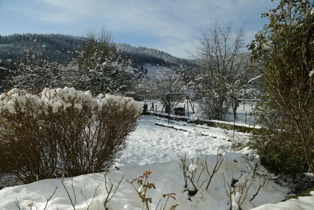 Chez Vovone 3 Etoiles Clevacances Saulxures-sur-Moselotte エクステリア 写真