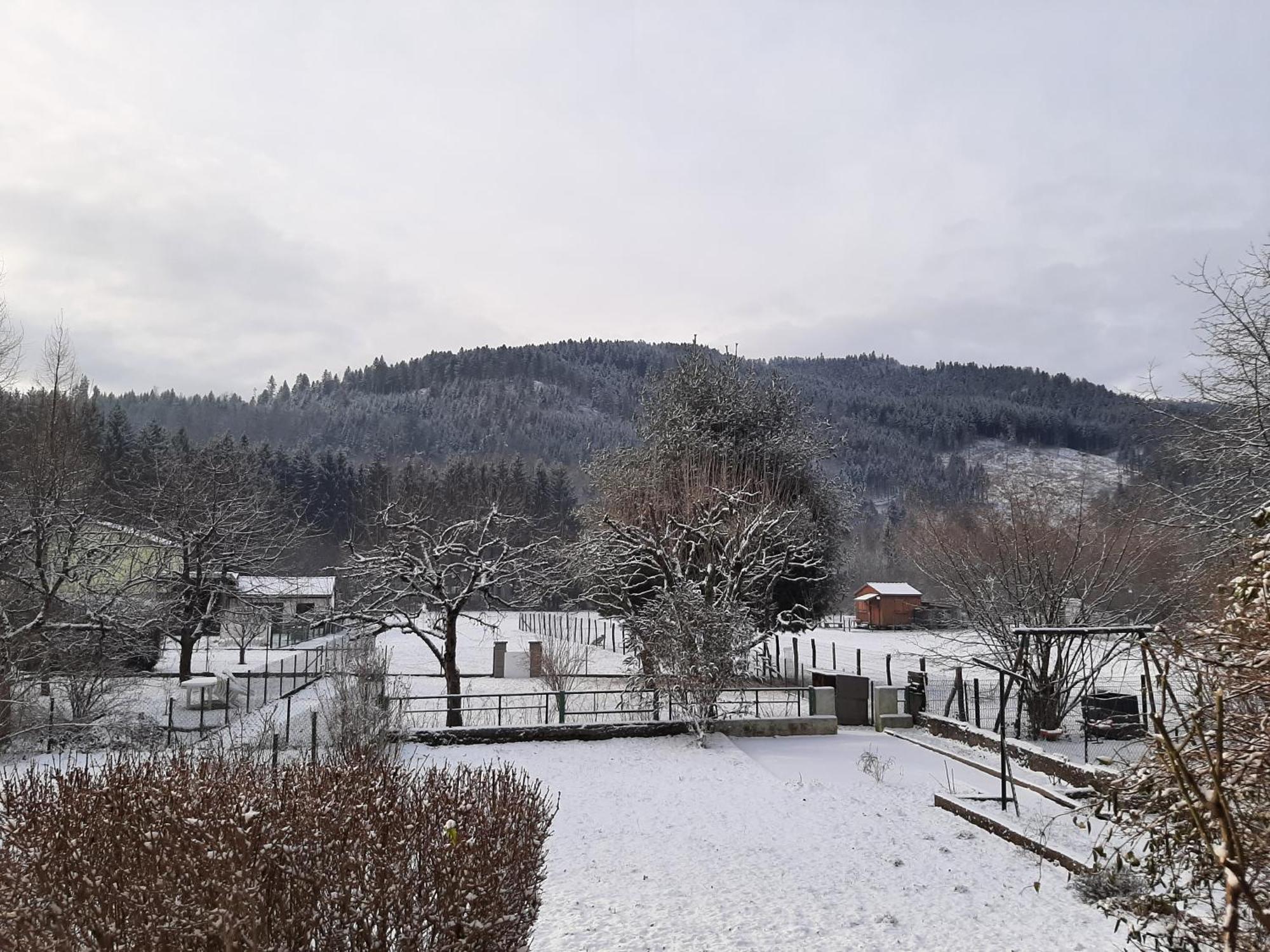Chez Vovone 3 Etoiles Clevacances Saulxures-sur-Moselotte エクステリア 写真