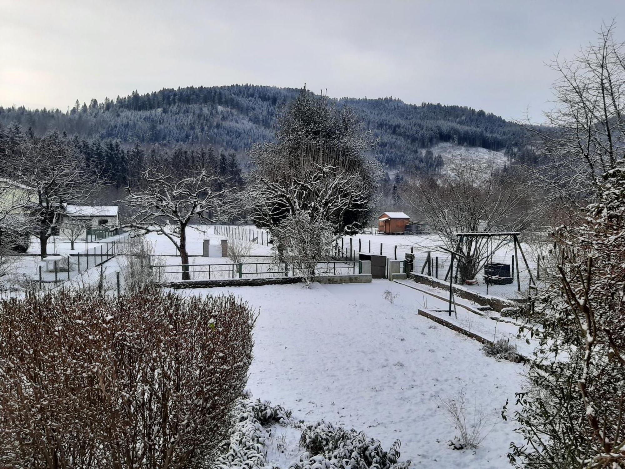 Chez Vovone 3 Etoiles Clevacances Saulxures-sur-Moselotte エクステリア 写真